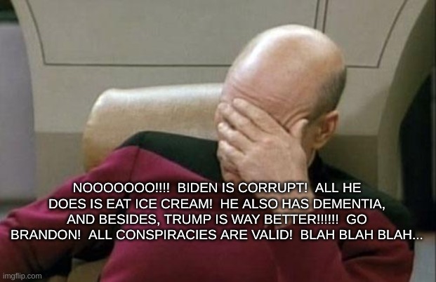 Captain Picard Facepalm | NOOOOOOO!!!!  BIDEN IS CORRUPT!  ALL HE DOES IS EAT ICE CREAM!  HE ALSO HAS DEMENTIA, AND BESIDES, TRUMP IS WAY BETTER!!!!!!  GO BRANDON!  ALL CONSPIRACIES ARE VALID!  BLAH BLAH BLAH... | image tagged in memes,captain picard facepalm | made w/ Imgflip meme maker