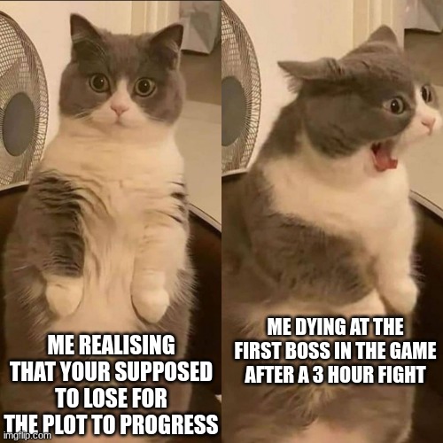 *YOU DIED* | ME REALISING THAT YOUR SUPPOSED TO LOSE FOR THE PLOT TO PROGRESS; ME DYING AT THE FIRST BOSS IN THE GAME AFTER A 3 HOUR FIGHT | image tagged in cat screaming,gaming | made w/ Imgflip meme maker