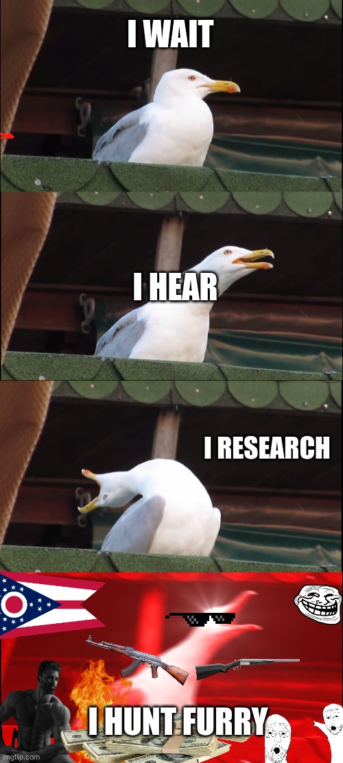 Inhaling Seagull | I WAIT; I HEAR; I RESEARCH; I HUNT FURRY | image tagged in memes,inhaling seagull | made w/ Imgflip meme maker