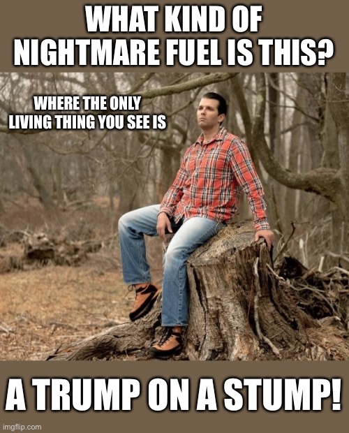 Trump On The Stump (not that one...) | WHAT KIND OF NIGHTMARE FUEL IS THIS? WHERE THE ONLY LIVING THING YOU SEE IS; A TRUMP ON A STUMP! | image tagged in trump on the stump not that one | made w/ Imgflip meme maker