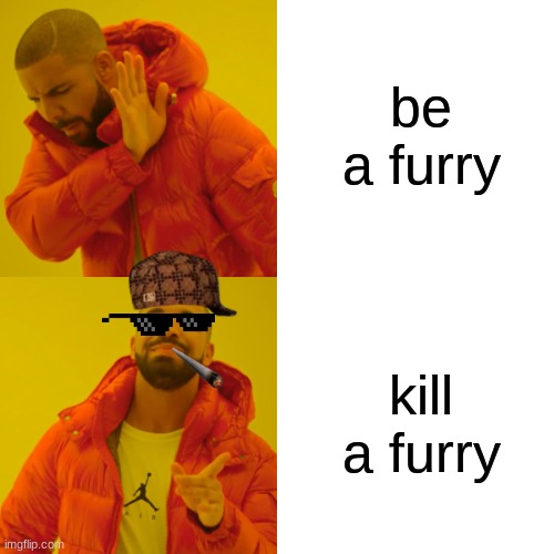 Drake Hotline Bling Meme | be a furry; kill a furry | image tagged in memes,drake hotline bling | made w/ Imgflip meme maker