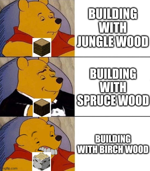 Minecraft wood types in a nutshell | BUILDING WITH JUNGLE WOOD; BUILDING WITH SPRUCE WOOD; BUILDING WITH BIRCH WOOD | image tagged in best better blurst | made w/ Imgflip meme maker