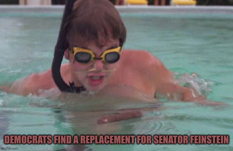 Caddyshack swimming pool doodie | DEMOCRATS FIND A REPLACEMENT FOR SENATOR FEINSTEIN | image tagged in caddyshack swimming pool doodie | made w/ Imgflip meme maker