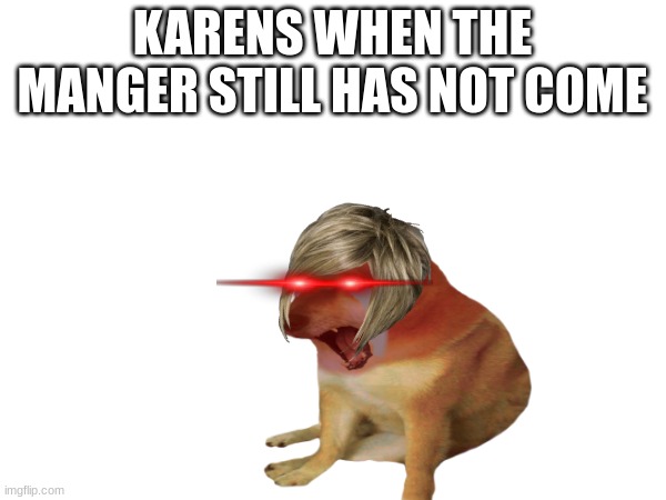 karen doggo 2 | KARENS WHEN THE MANGER STILL HAS NOT COME | image tagged in karen | made w/ Imgflip meme maker