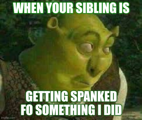 Shrek Funny Meme | Poster