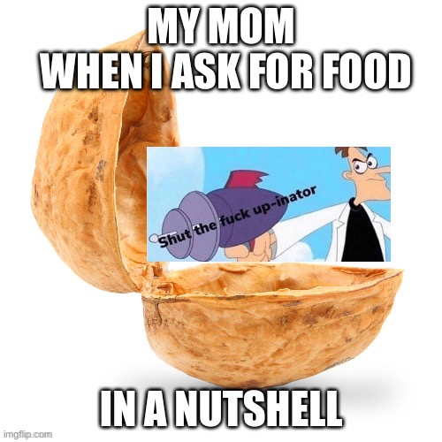 ? | WHEN I ASK FOR FOOD | image tagged in lol,fun,memes,shut,in a nutshell | made w/ Imgflip meme maker