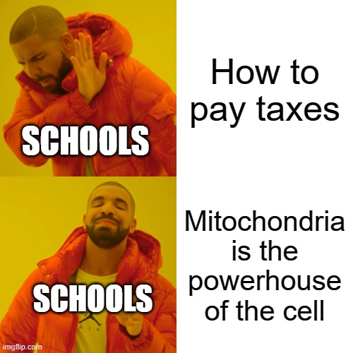 Schools be like. | How to pay taxes; SCHOOLS; Mitochondria is the powerhouse of the cell; SCHOOLS | image tagged in memes,drake hotline bling | made w/ Imgflip meme maker