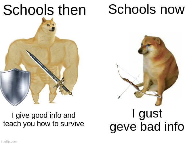 What school used to be | Schools then; Schools now; I give good info and teach you how to survive; I gust geve bad info | image tagged in memes,buff doge vs cheems | made w/ Imgflip meme maker