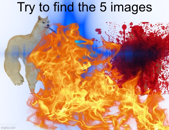 Try to find the images: CHAOS EDITION | Try to find the 5 images | image tagged in find the images | made w/ Imgflip meme maker