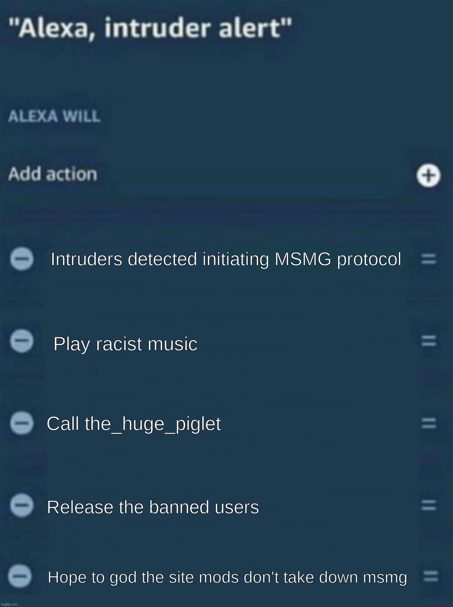 Pov: you try to rob an msmg users house | Intruders detected initiating MSMG protocol; Play racist music; Call the_huge_piglet; Release the banned users; Hope to god the site mods don't take down msmg | image tagged in msmg,funny | made w/ Imgflip meme maker