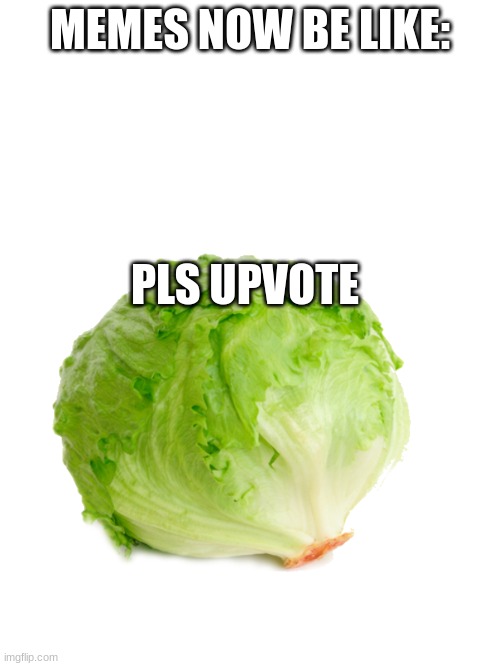 memes now be like: (not upvote begging) | MEMES NOW BE LIKE:; PLS UPVOTE | image tagged in upvote begging,lettuce,memes | made w/ Imgflip meme maker