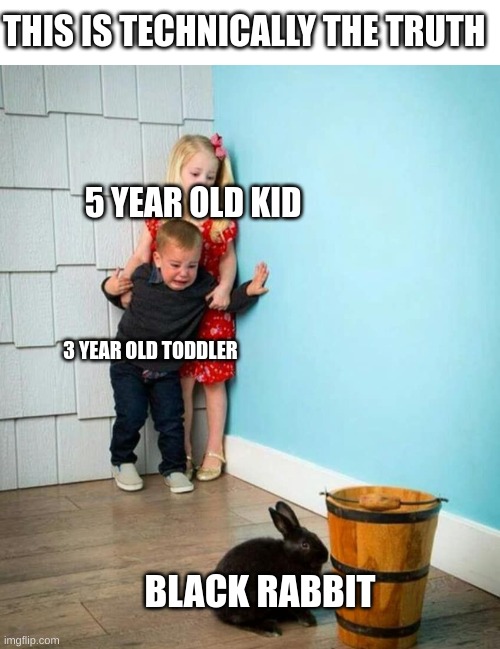THIS IS TECHNICALLY THE TRUTH; 5 YEAR OLD KID; 3 YEAR OLD TODDLER; BLACK RABBIT | image tagged in children scared of rabbit,memes,can't argue with that / technically not wrong,boring | made w/ Imgflip meme maker