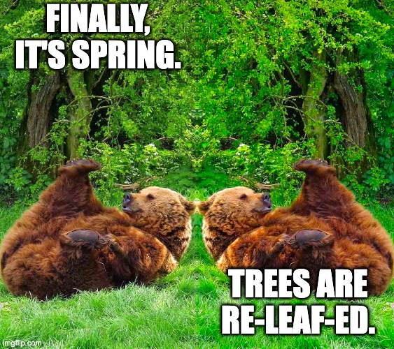 Re-leaf-ed | FINALLY, IT'S SPRING. TREES ARE RE-LEAF-ED. | image tagged in spring bear,pun | made w/ Imgflip meme maker