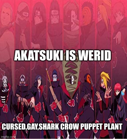 akstuki is werid | AKATSUKI IS WERID; CURSED,GAY,SHARK CROW PUPPET PLANT | image tagged in funny | made w/ Imgflip meme maker
