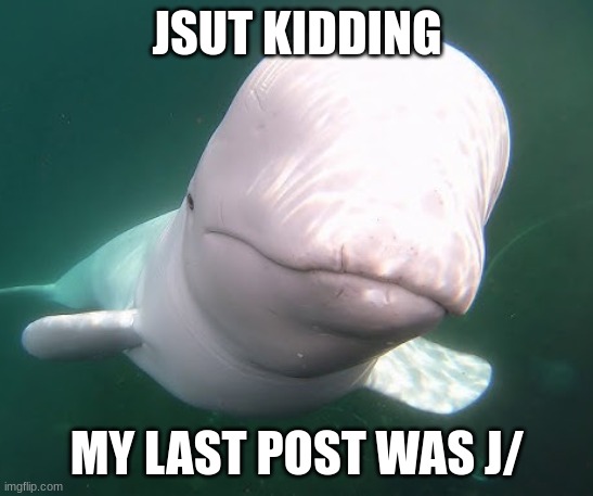 post created by Beluga