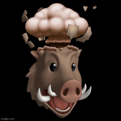 Boar Head explode | image tagged in boar head explode | made w/ Imgflip meme maker