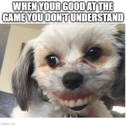 when you don't understand the game but your still good | WHEN YOUR GOOD AT THE GAME YOU DON'T UNDERSTAND | image tagged in dog,funny | made w/ Imgflip meme maker