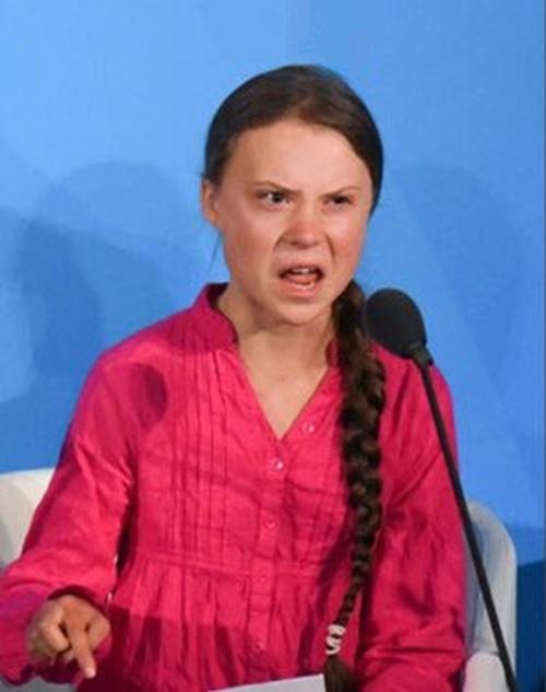 High Quality Greta Thunberg Blank Meme Template