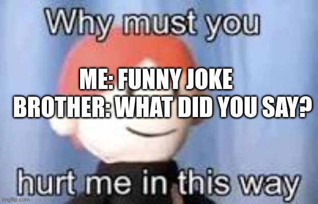 Why must you hurt me in this way | ME: FUNNY JOKE; BROTHER: WHAT DID YOU SAY? | image tagged in why must you hurt me in this way | made w/ Imgflip meme maker