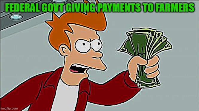 Shut Up And Take My Money Fry Meme | FEDERAL GOVT GIVING PAYMENTS TO FARMERS | image tagged in memes,shut up and take my money fry | made w/ Imgflip meme maker