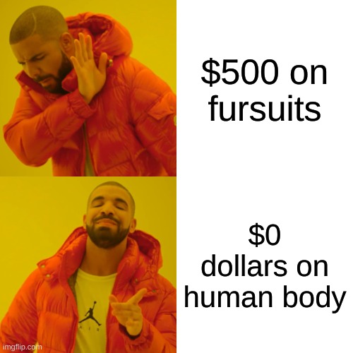 ah yes. | $500 on fursuits; $0 dollars on human body | image tagged in memes,drake hotline bling | made w/ Imgflip meme maker