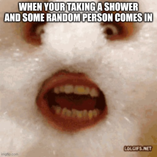 WHEN YOUR TAKING A SHOWER AND SOME RANDOM PERSON COMES IN | image tagged in funny,memes | made w/ Imgflip meme maker
