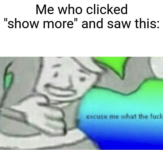 Excuse me wtf blank template | Me who clicked "show more" and saw this: | image tagged in excuse me wtf blank template | made w/ Imgflip meme maker