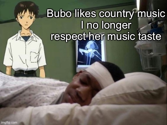 dont do it shinji | Bubo likes country music
I no longer respect her music taste | image tagged in dont do it shinji | made w/ Imgflip meme maker
