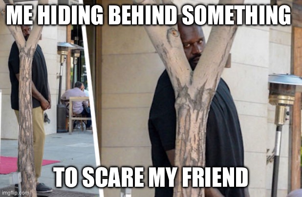 Why do we do this lol | ME HIDING BEHIND SOMETHING; TO SCARE MY FRIEND | image tagged in shaq hiding,sneaky,jumpscare | made w/ Imgflip meme maker