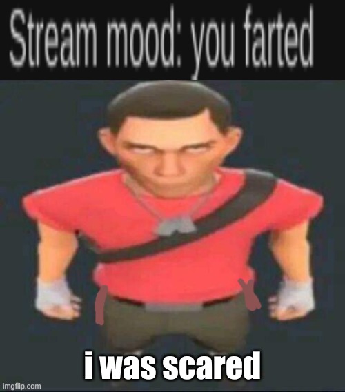 fun stream ass meme | i was scared | image tagged in scout but i saved it so i don t forget | made w/ Imgflip meme maker