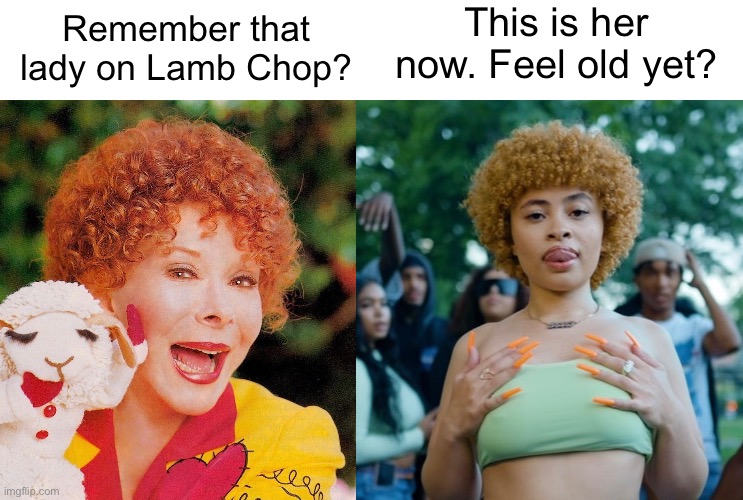 This is her now. Feel old yet? Remember that lady on Lamb Chop? | image tagged in funny | made w/ Imgflip meme maker