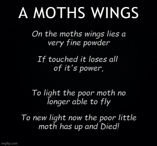 Powdered Wings | A MOTHS WINGS; On the moths wings lies a
very fine powder; If touched it loses all 
of it's power, To light the poor moth no
longer able to fly; To new light now the poor little
moth has up and Died! | image tagged in moths,wings,fly | made w/ Imgflip meme maker