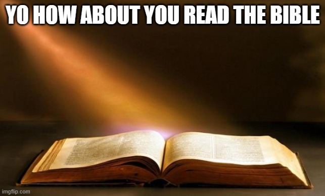 Bible  | YO HOW ABOUT YOU READ THE BIBLE | image tagged in bible | made w/ Imgflip meme maker