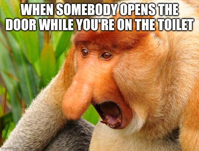 I have major anxiety when this happens | WHEN SOMEBODY OPENS THE DOOR WHILE YOU'RE ON THE TOILET | image tagged in janusz monkey screaming | made w/ Imgflip meme maker