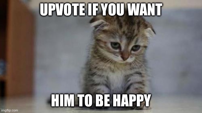 :( | UPVOTE IF YOU WANT; HIM TO BE HAPPY | image tagged in sad kitten | made w/ Imgflip meme maker