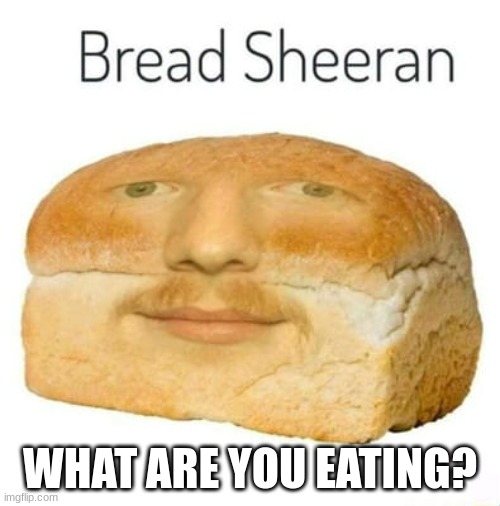 bred sheeran | WHAT ARE YOU EATING? | image tagged in bread sheeran | made w/ Imgflip meme maker