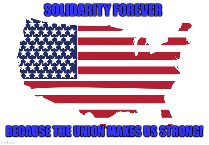 usa map flag | SOLIDARITY FOREVER; BECAUSE THE UNION MAKES US STRONG! | image tagged in usa map flag | made w/ Imgflip meme maker