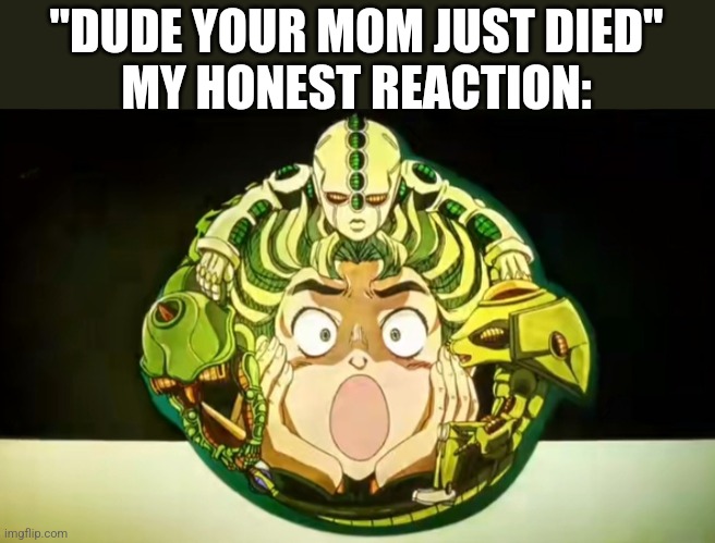 My honest reaction | "DUDE YOUR MOM JUST DIED"
MY HONEST REACTION: | image tagged in memes | made w/ Imgflip meme maker