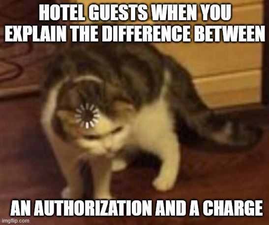 Loading cat | HOTEL GUESTS WHEN YOU EXPLAIN THE DIFFERENCE BETWEEN; AN AUTHORIZATION AND A CHARGE | image tagged in loading cat | made w/ Imgflip meme maker