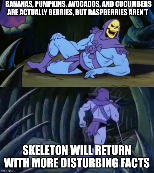 Skeletor disturbing facts | BANANAS, PUMPKINS, AVOCADOS, AND CUCUMBERS ARE ACTUALLY BERRIES, BUT RASPBERRIES AREN’T; SKELETON WILL RETURN WITH MORE DISTURBING FACTS | image tagged in skeletor disturbing facts | made w/ Imgflip meme maker