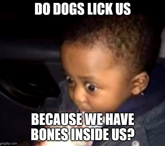 SOMEONE PLZ EXPLAIN | DO DOGS LICK US; BECAUSE WE HAVE BONES INSIDE US? | image tagged in uh oh drinking kid | made w/ Imgflip meme maker