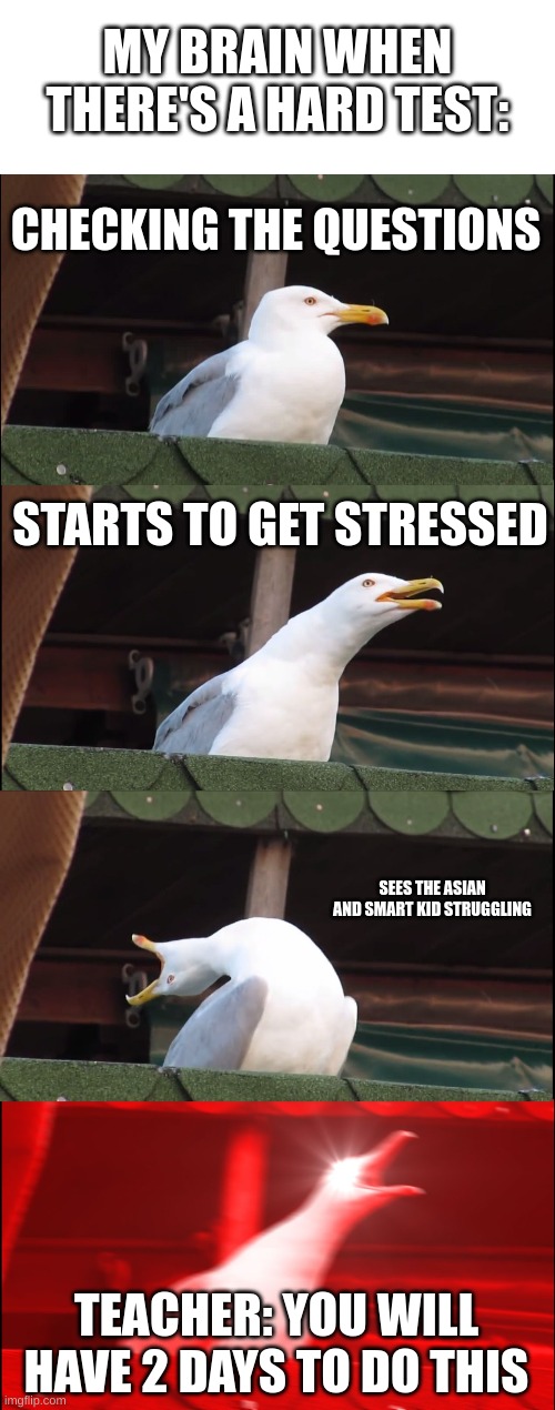 This has even more pain when the doctor says "This will only hurt a little bit" | MY BRAIN WHEN THERE'S A HARD TEST:; CHECKING THE QUESTIONS; STARTS TO GET STRESSED; SEES THE ASIAN AND SMART KID STRUGGLING; TEACHER: YOU WILL HAVE 2 DAYS TO DO THIS | image tagged in memes,inhaling seagull,school,test,aaaaaaaaaaaaaaaaaaaaaaaaaaa,relatable | made w/ Imgflip meme maker