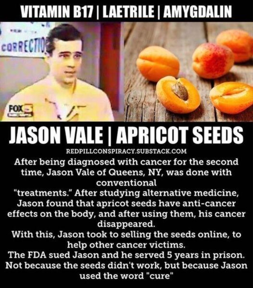 Remember When the FDA Outlawed Laetrile? | image tagged in laetrile,apricot seeds,cancer cure,race for the cure,the cure | made w/ Imgflip meme maker