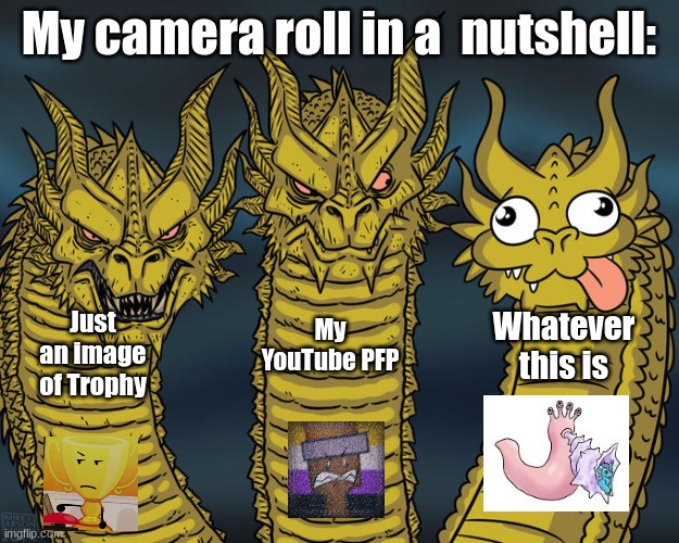 Three-headed Dragon | My camera roll in a  nutshell:; Just an image of Trophy; Whatever this is; My YouTube PFP | image tagged in three-headed dragon | made w/ Imgflip meme maker