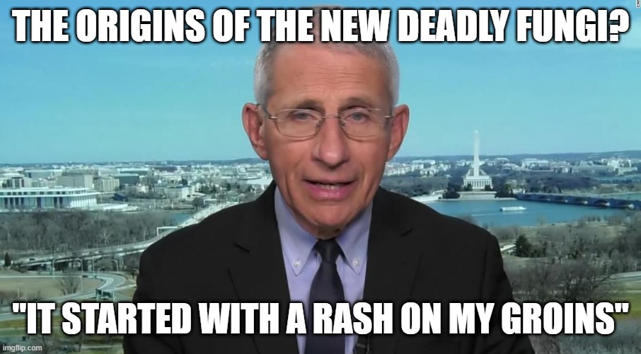 Fungifauci | THE ORIGINS OF THE NEW DEADLY FUNGI? "IT STARTED WITH A RASH ON MY GROINS" | image tagged in fungi,fauci,cdc,deadly,nhi | made w/ Imgflip meme maker