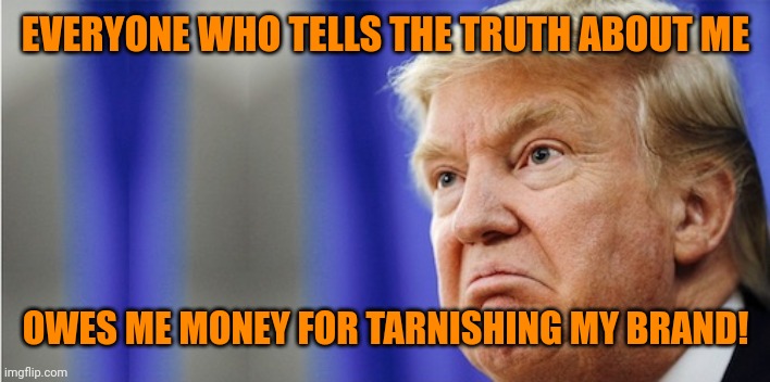 EVERYONE WHO TELLS THE TRUTH ABOUT ME OWES ME MONEY FOR TARNISHING MY BRAND! | image tagged in trump mad | made w/ Imgflip meme maker