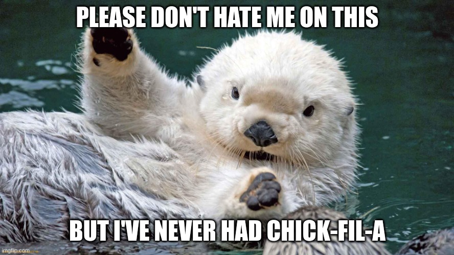 I'm not joking | PLEASE DON'T HATE ME ON THIS; BUT I'VE NEVER HAD CHICK-FIL-A | image tagged in hold up- | made w/ Imgflip meme maker
