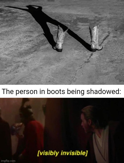 Invisible person being shadowed illusion | The person in boots being shadowed: | image tagged in visibly invisible,invisible,boots,shadow,memes,optical illusion | made w/ Imgflip meme maker