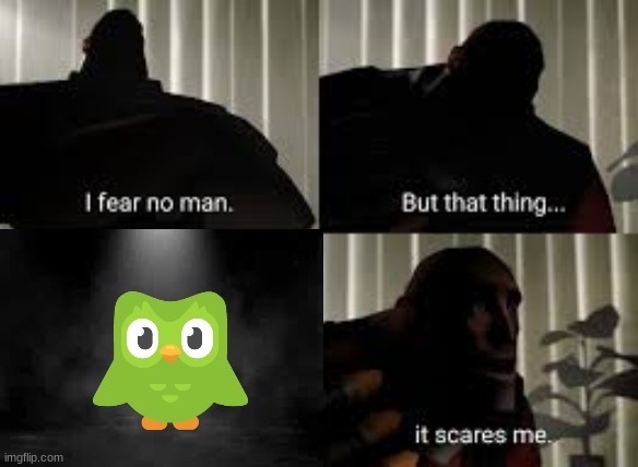 duo is scary and if duolingo comments i might just die | image tagged in duolingo,i fear no man | made w/ Imgflip meme maker