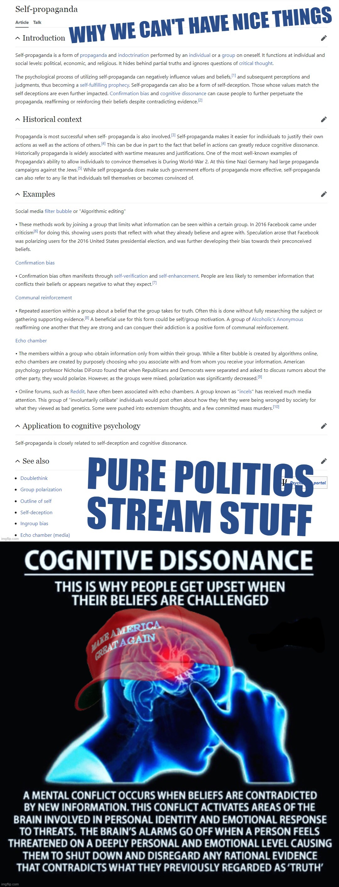 h/t to TwoWayMirror | image tagged in why we cant have,nice,things,cognitive dissonance,politics,stream | made w/ Imgflip meme maker